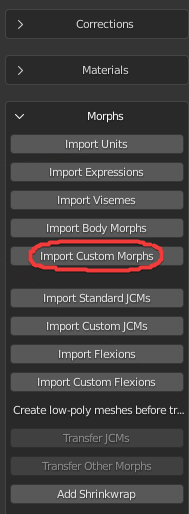 Import custom morphs to model imported from Daz to Blender
