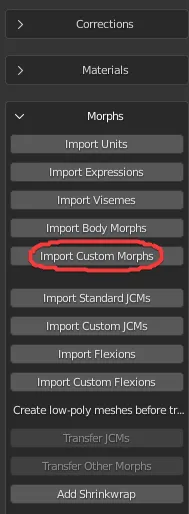 Import custom morphs to model imported from Daz to Blender